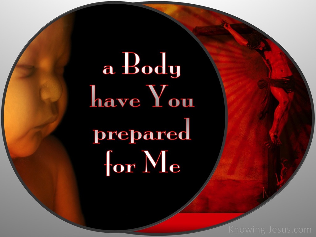 Hebrews 10:5 A Body You Have Prepared (gray)